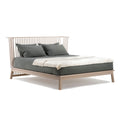 Companions Bed